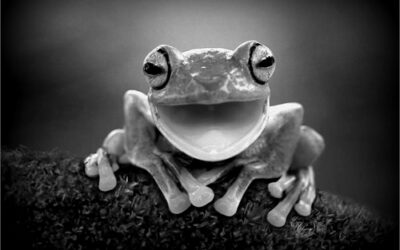 Leap Froggin’ Through Space