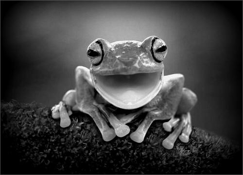Leap Froggin’ Through Space